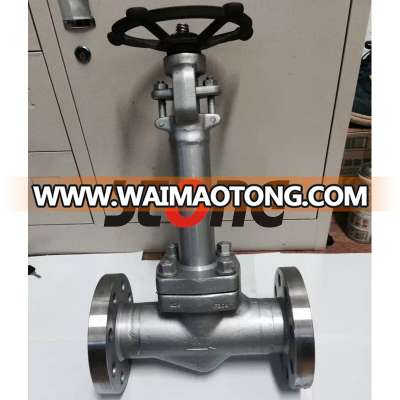 API 602 Forged Steel Extend Bonnet 150lb-800lb Cryogenic Gate Valve